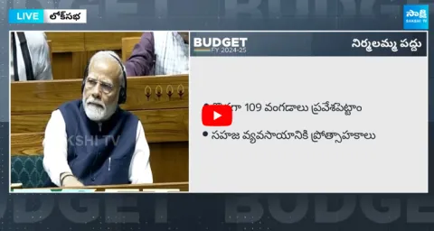 Minister Nirmala Sitharaman About AP Reorganisation Act
