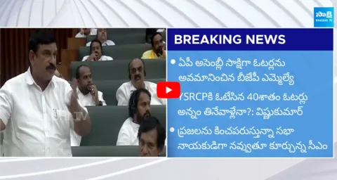 BJP MLA Vishnu Kumar Raju Insults YSRCP Voters in AP Assembly 
