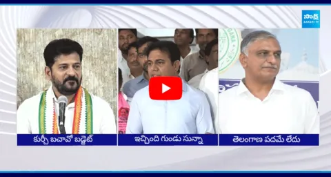Telangana Leaders Comments On Union Budget 2024-25 
