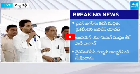 YSRCP Delhi Dharna Grand Success