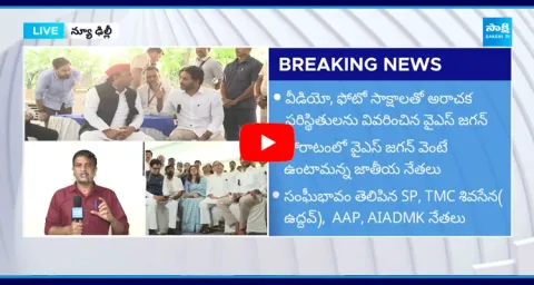 YSRCP Dharna Grand Success In Delhi 