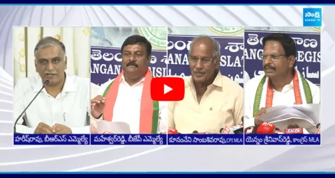Telangana Leaders Reaction On Telangana Budget 2024