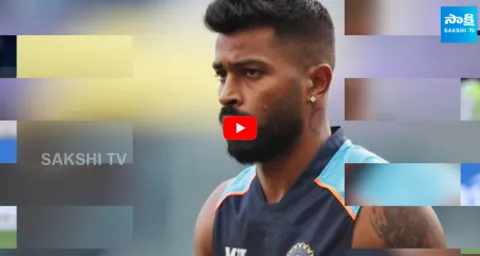 Hardik Pandya Reacts to Natasa Stankovics Latest Social Media Post After Divorce 