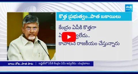 Chandrababu Revealed Shocking Facts About Union Budget Allocation To AP