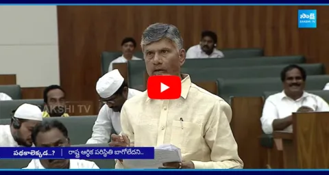 Chandrababu Sensational Comments On TDP Manifesto