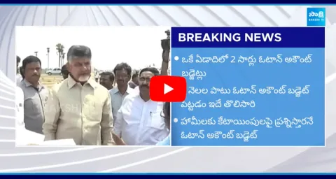 Chandrababu Issued Ordinance For Vote On Account Budget