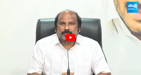 YSRCP TJR Sudhakar Babu Comments On Chandrababu Delhi Tour