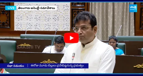 Minister Sridhar Babu About Skill University 
