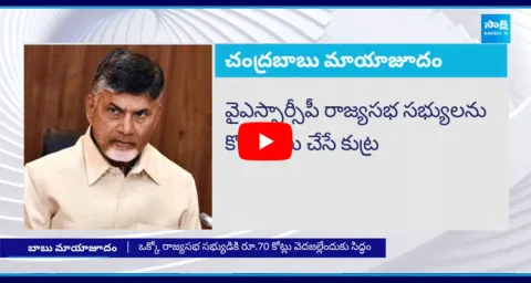 Chandrababu Offer 70 Crore To YSRCP Rajya Sabha MPs