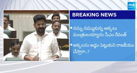 CM Revanth Reddy Fires on BRS Leaders Over Trolls on Seethakka