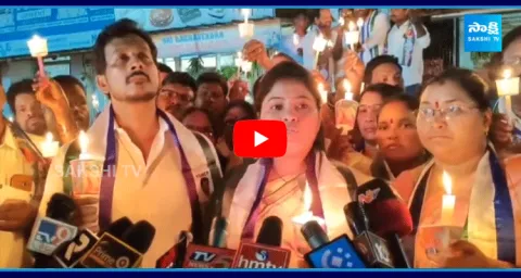 Pamula Pushpa Sreevani Fires On Chandrababu 