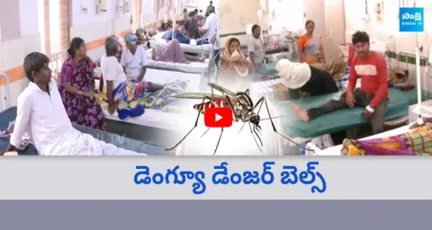  Increasing Dengue Cases In Telangana 
