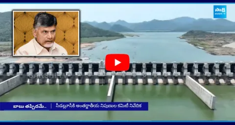 Polavaram Diaphragm Wall Damage Reason Only Chandrababus Mistake