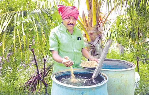 Eczema Can Be Cured With This Saffron Nut Solution Sakshi Sagubadi News
