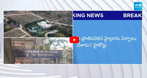 High Court Key Comments on Operation Hydra