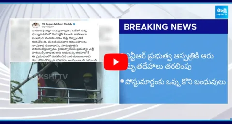 YS Jagan Mohan Reddy Reacts On Atchutapuram Sez Incident
