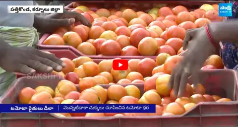 Tomato Price Drop