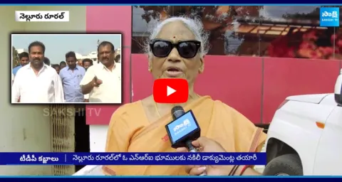 TDP Leaders Land Grabbing In Nellore