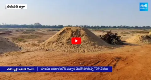 TDP Leaders Sand Mafia In Tirupati District
