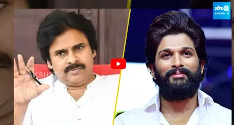 Allu Arjun vs Mega Fans