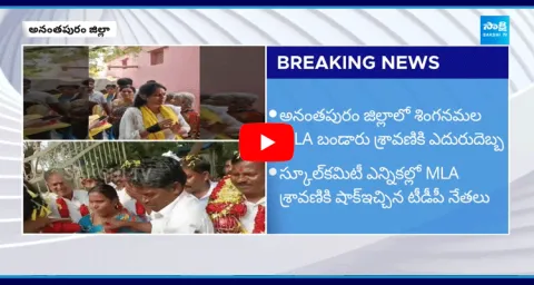 TDP MLA Shravani Fires On Party Cadre Over Opponent Won In Govt School Elections 
