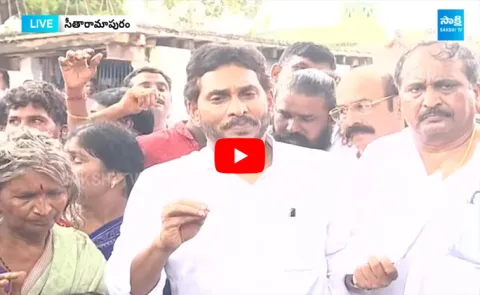 YS Jagan Fires On Chandrababu Over TDP Goons Violence In AP