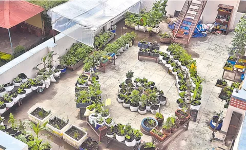 Urban agriculture contributes in 6 ways