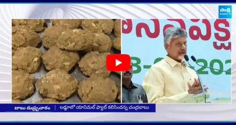 Chandrababu Controversial Comments On Tirupati Laddu