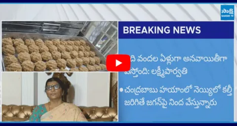 YSRCP Lakshmi Parvathi Press Meet