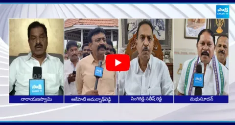 YCP Leaders Fires On Chandrababu False Allegations