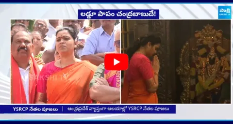 Vidadala Rajini Comments On Chandrababu