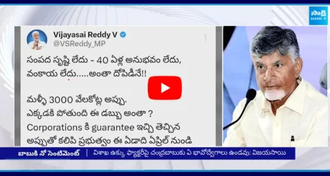 Vijaya Sai Reddy Slams Chandrababu Over Vizag Steel Plant Privatisation