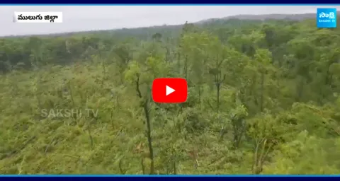 One Lakh Trees Felled Eturnagaram Forest