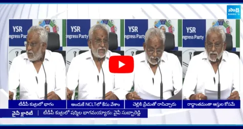 YV Subbareddy Fires On Sharmila And Chandrababu