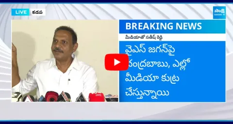 Sathish Reddy About Jagan Sharmila Property Share