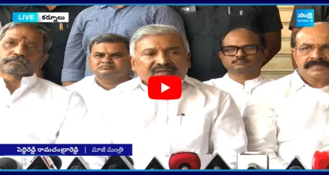 Peddi Reddy Ramachandra Reddy Interaction With YSRCP Leaders