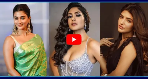 Sreeleela Rejected Hero Varun Dhawan Movie 