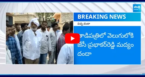 TDP Mafia Hulchul In Tadipatri 