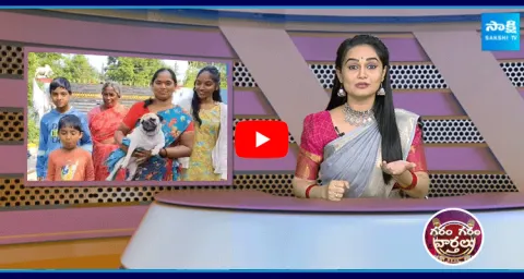 Pet Dog Return To Home