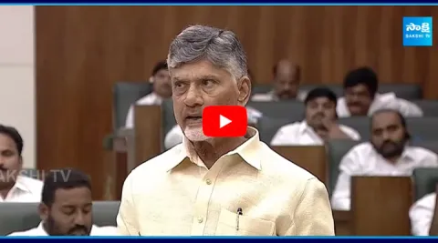 Chandrababu Shocking Comments on AP Roads 