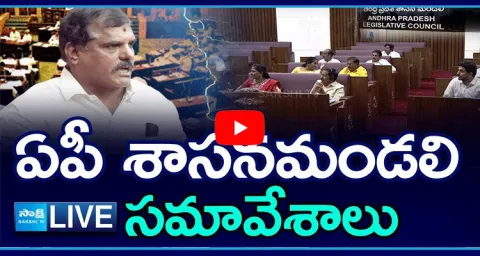 Watch Live AP Legislative Council Sessions 9th Day