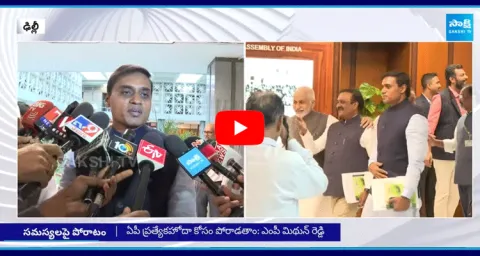 MP Mithun Reddy About Parliament Sessions 