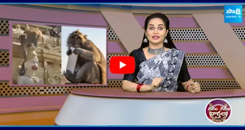 Monkey Steals Devotees Phone At Kondagattu Anjaneya Swamy Temple