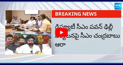AP DCM Pawan Kalyan Delhi Tour