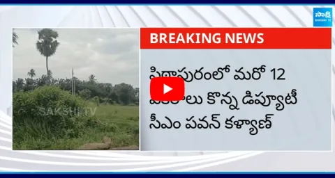 Pawan Kalyan Purchases Another 12 Acres In Pithapuram