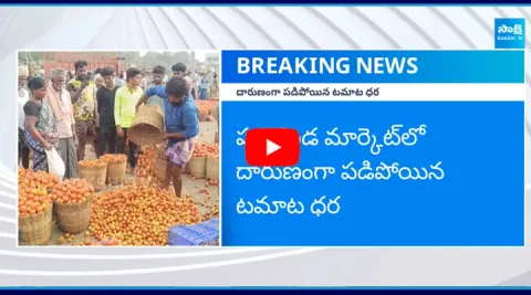1 KG Tomato Price Dropped to 50 Paisa at Pattikonda Market