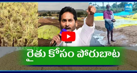YSRCP Leaders Protest Against Farmers Problem