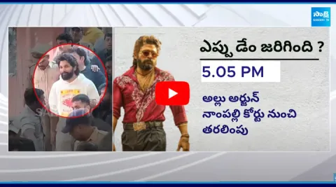 Allu Arjun Gets Interim Bail