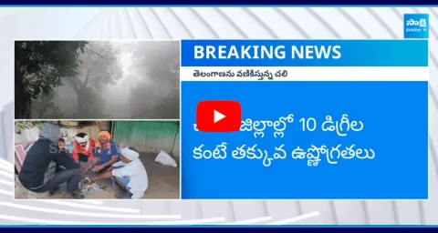 Cold Wave Alert In Telangana