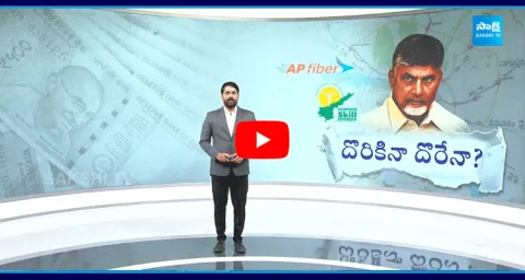 Magazine Story On Chandrababu Big Sketch To Escape From Cases 